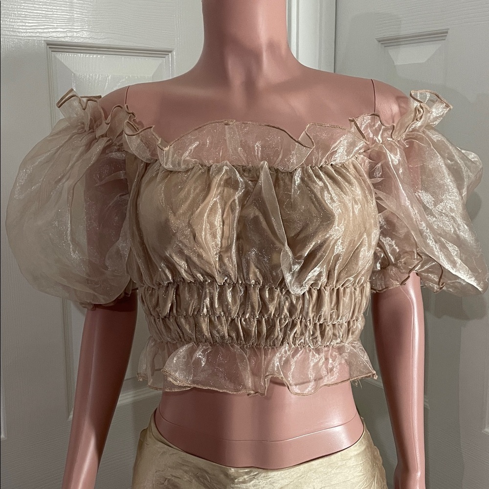 Hot & Delicious Tan Sheer puff sleeve crop top Blouse